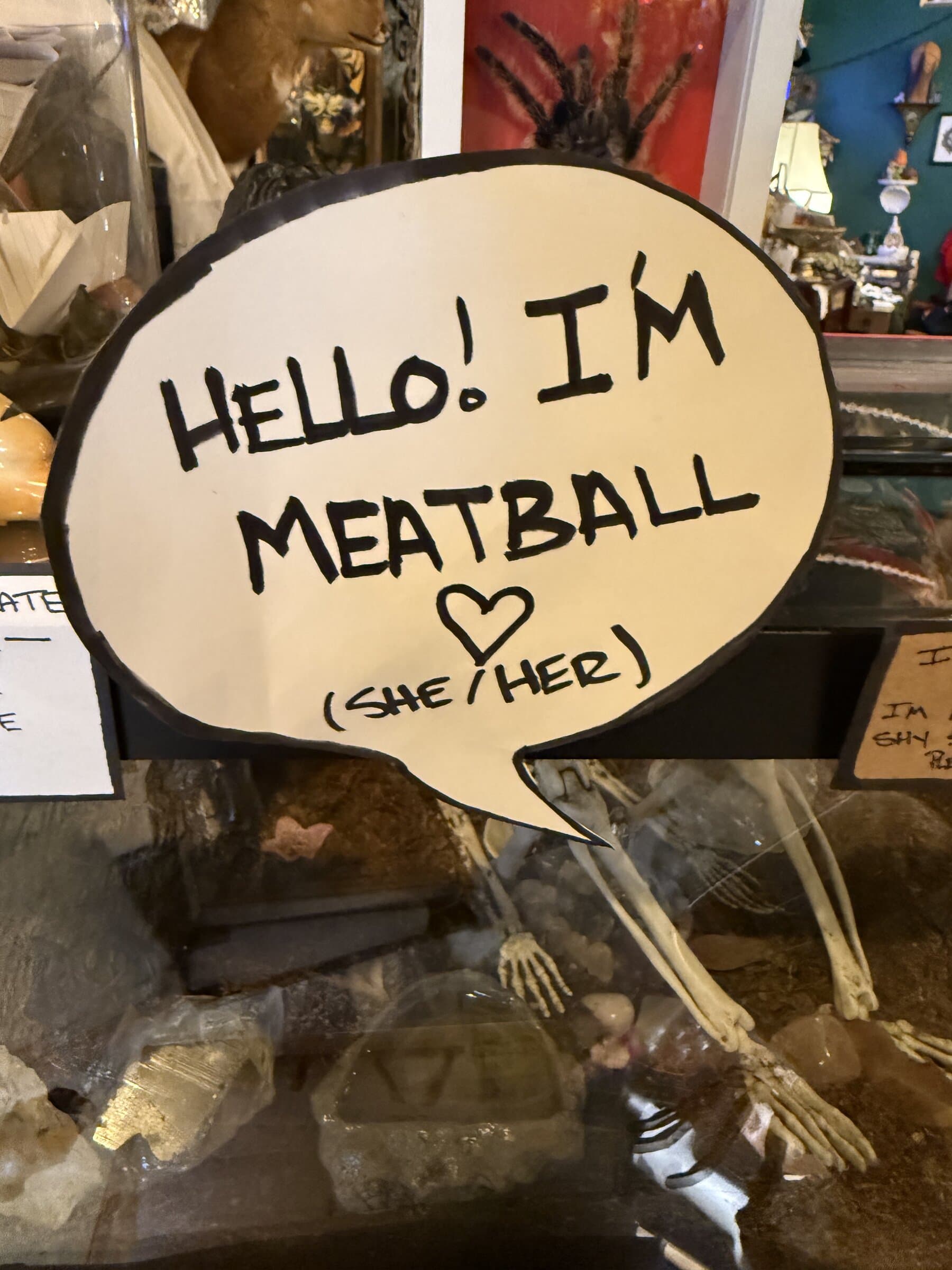 Meatball, she/her