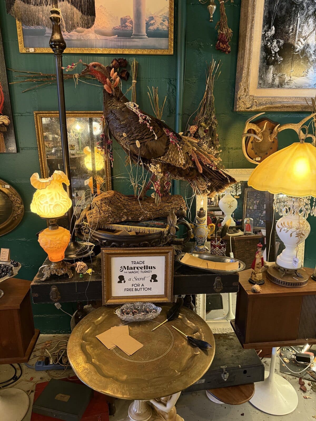 Inside Tiger Dust: brass lamps, gold-frame mirrors, a turkey taxidermy wreathed in dried flowers, against teal walls.