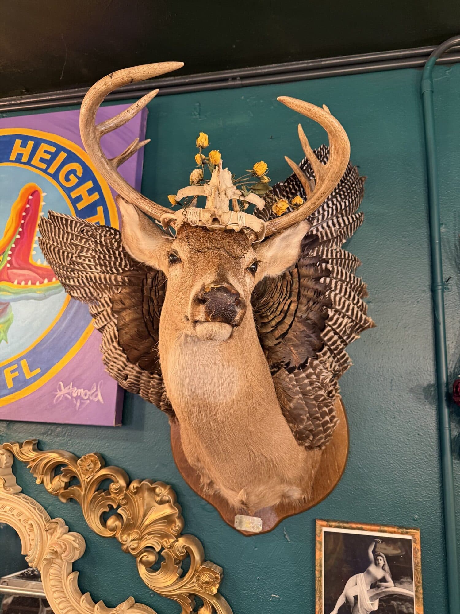 A taxidermy deer mount on a teal wall with a small floral crown of yellow flowers nestled between the antlers and a halo of turkey feathers fanning behind.